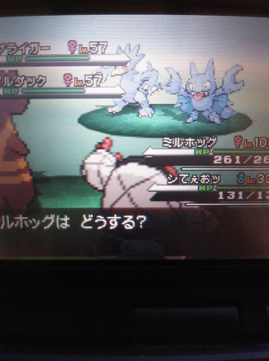 HotDogLord_'s tweet photo. Phase 2 for seviper/zangoose at 9,163 encounters  and 18,287 total encounters so far +6 more points for #TeamScuffed https://t.co/KOwdItHu3S