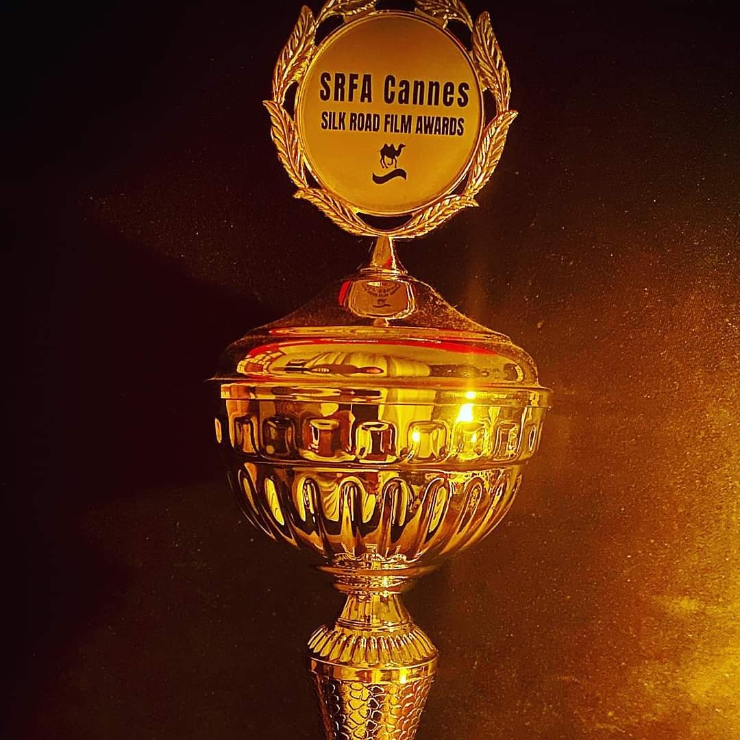art2action's tweet photo. #11Reflections Best Experimental Feature #silkroadfilmawards June 2021 https://t.co/v7iFaNceH4