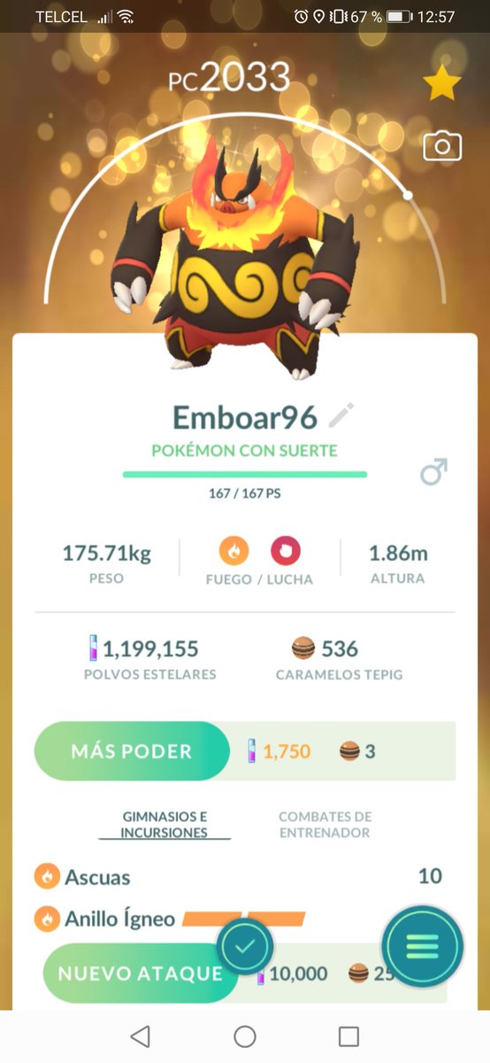 JmSendra's tweet photo. Happy community day! 
Tepig Day #PokemonGOCommunityDay #PokemonGO #Tepig #ポケモンGO
#shinypokemon https://t.co/guK8dmp4Nl