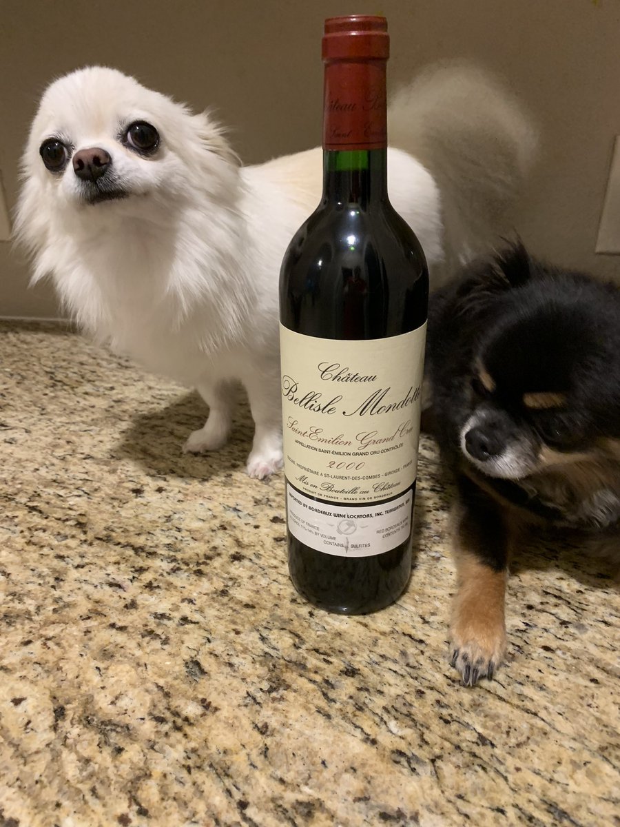 Pups pulled the 
2000 Chateau Bellisle Mondotte  #StEmilion Grand Cru #bordeaux 
#July4thWeekend

 @Fuel55 @aonedone99 @88blewby @RoebuckSteve1 @stock_guy1 @PascalJabbourMD @JohnMFodera @vashtiroebuck1