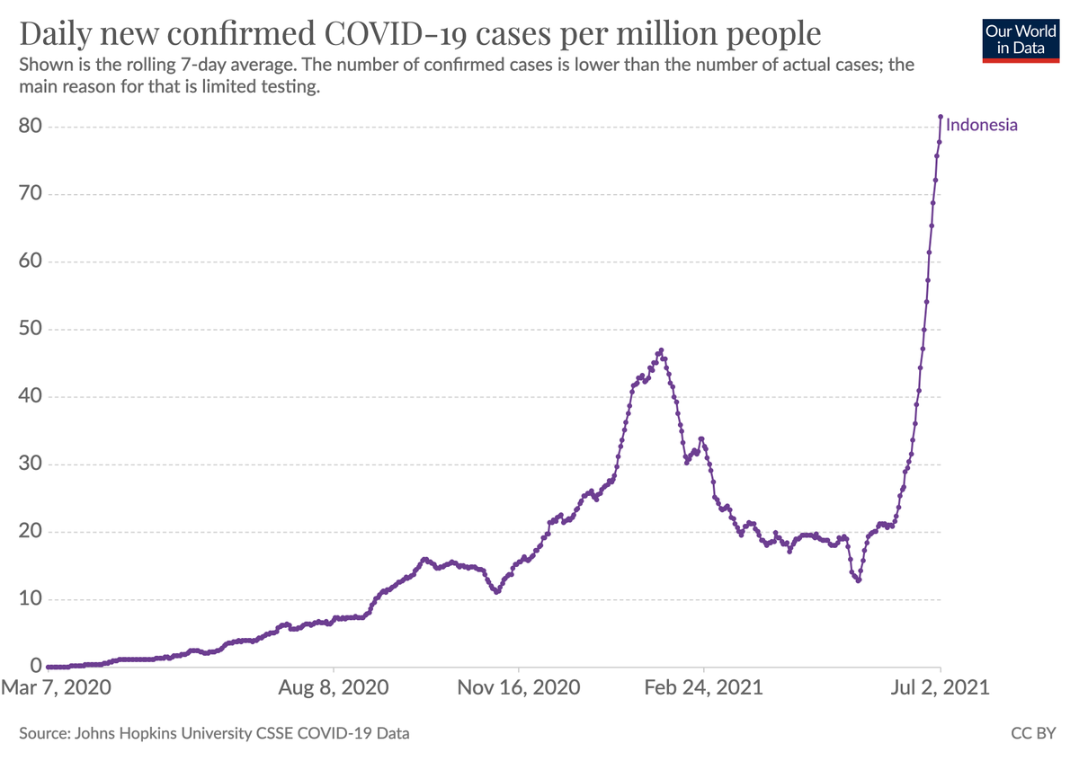 Indonesia is experiencing a very rapid outbreak.