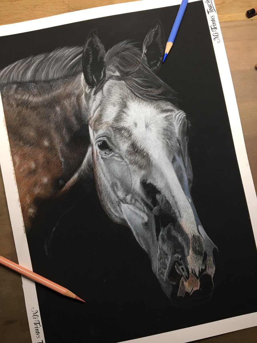 It’s been a while! Here’s what I’m working on right now, a beautiful dapple grey by the name of Charlie. Still so much to do! #equineart #blackpaperdrawing #colourpencilartist #petportrait #horses #horsesoftwitter #equineartist #artistsontwitter