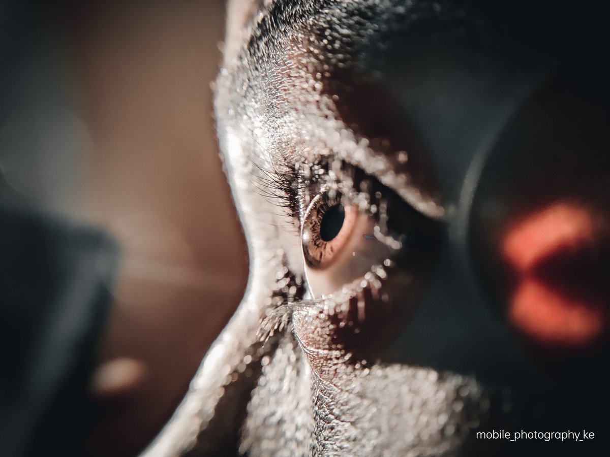 _DivergentKarl's tweet image. #cbeyond with #CAMON17Pro 
Look into the future. 

#CAMissionKE 
@TECNOMobile254