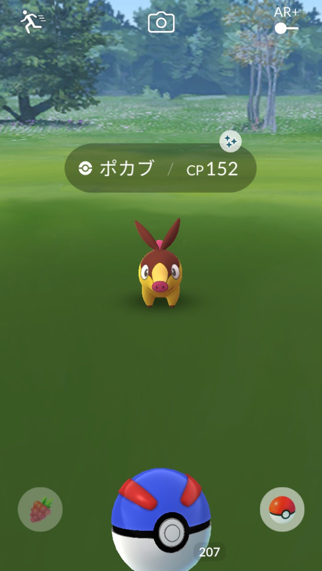ツバタン Auf Twitter 色違いのポカブ キターーーー ポケモンgo ポカブ ポカブ色違い 色違いポカブ 色違い ポカブコミュニティデイ ポカブコミュデイ T Co Bjb8cfg5zq Twitter