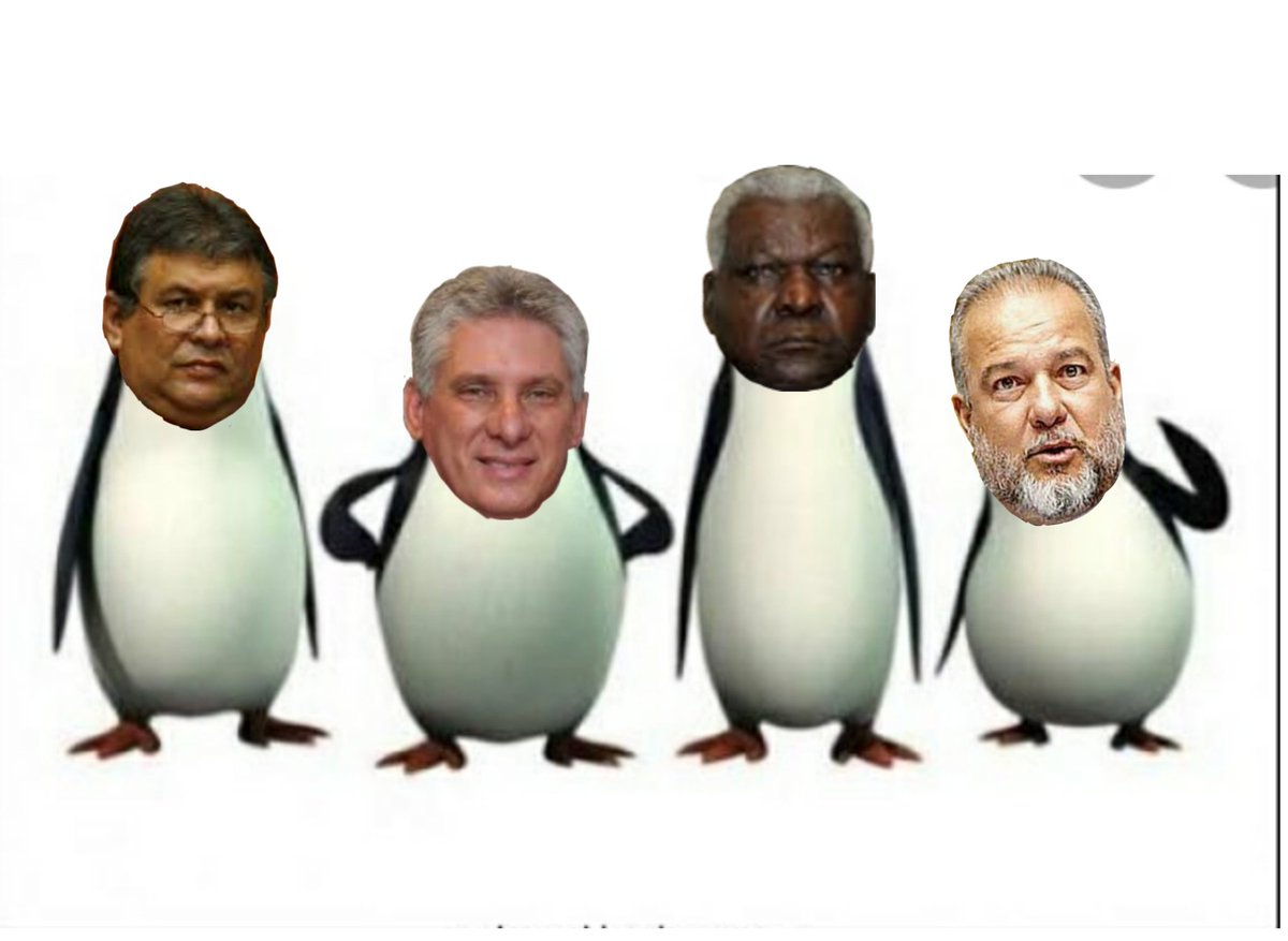 Skipper tweet media