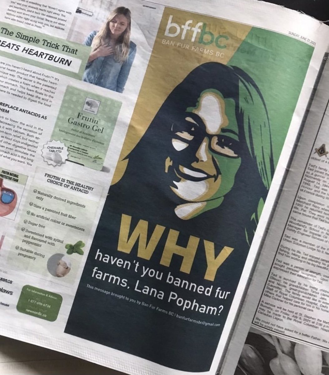 Popham pops up in the press… 3 times! 🗞 When all other forms of communication fail, you attempt it through the news! People sipping their morning coffees reading <a href="/VancouverSun/">The Vancouver Sun</a> <a href="/theprovince/">The Province</a> &amp; <a href="/saanichnews/">Saanich News</a> were graced with @LanaPopham’s face this past week ☕️📰  #BanFurFarmsBC