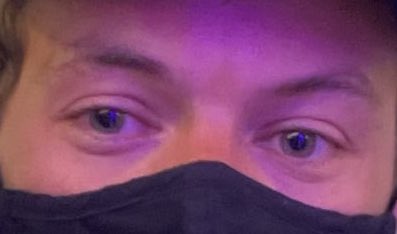 MysunflowerLou's tweet image. Harry Edward Styles, detalles✨