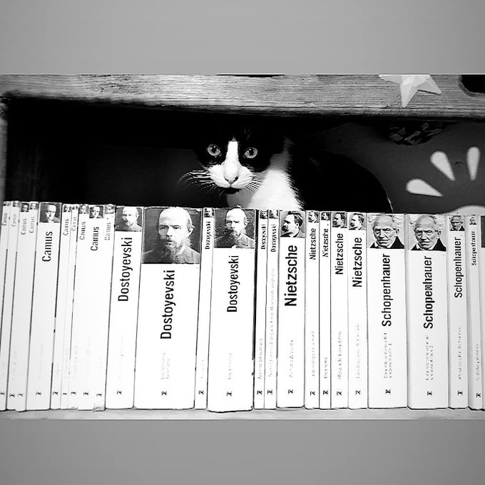 PRedondas's tweet photo. Para soñar 
no hay que cerrar los ojos, 
hay que leer.

Michel Foucault https://t.co/umAWcXoqhQ