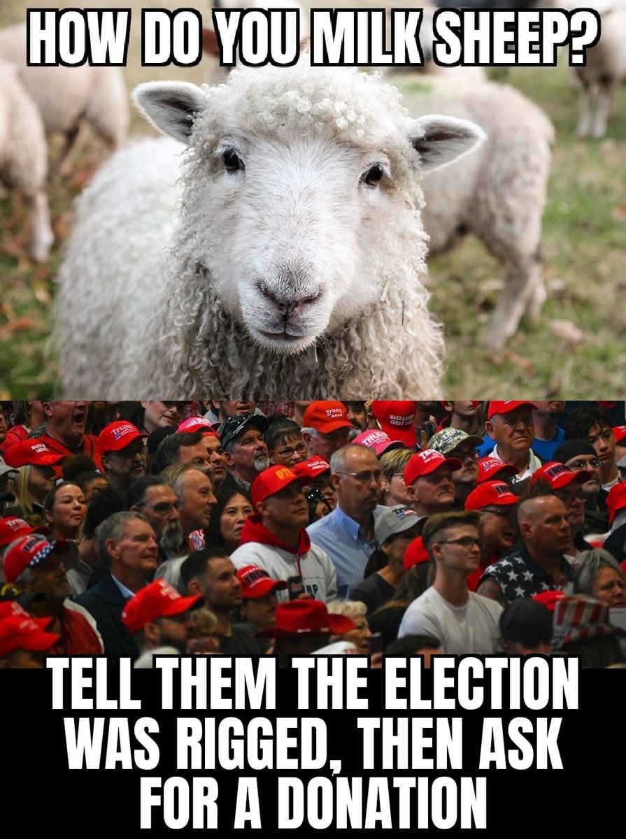 TrumpHasGot2Go's tweet photo. @PalmerReport Think about all that he's done to remain in office to Avoid Prosecution & Prison. #BribingandExtorting Ukraine, Lying about #JoeandHunterBiden ~ Calling up #SecsofStates to find 11,0780 Votes. #Fraudits ~ #Vilifying #VoteByMail #SuperSpreaderEvents #TheBigLie #Insurrection, etc. https://t.co/51HOcj4njt