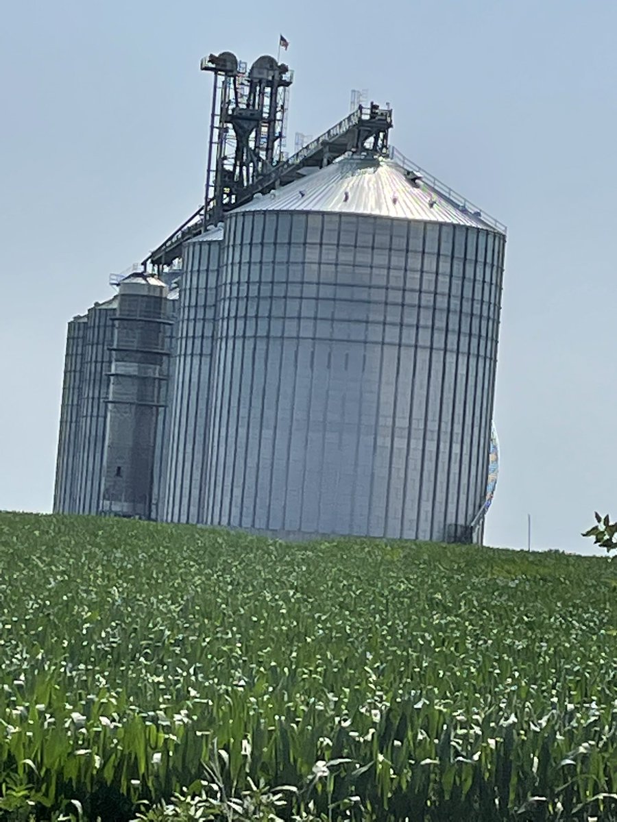 Good to see these silos restored on one of my bike routes following last year’s #derecho storm. https://t.co/mwG7NbcxJN