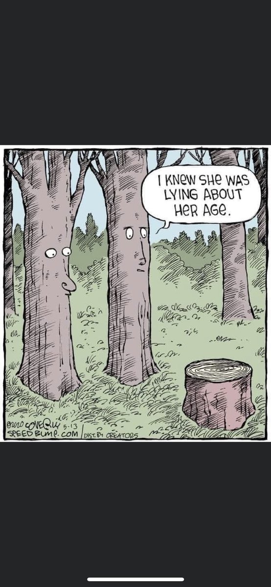 Wood I lie to you baby yeah 🎶