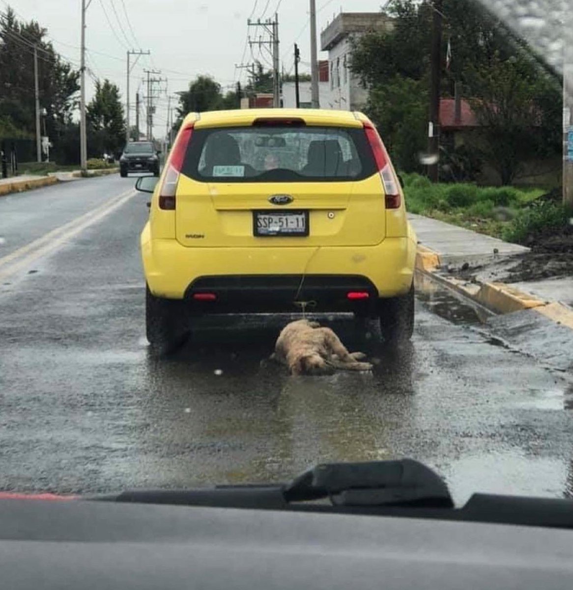 ERIFERCA's tweet photo. No puedo creer esta imagen, En Toluca Estado de México a un pendejo se le ocurrió hacer esto, No sé qué chingados le pasa por la cabeza a este tipo de personas pero definitivamente son un peligro para la sociedad! Si lo identificas DENÚNCIALO !! Rt por favor https://t.co/gEEagkd9HV