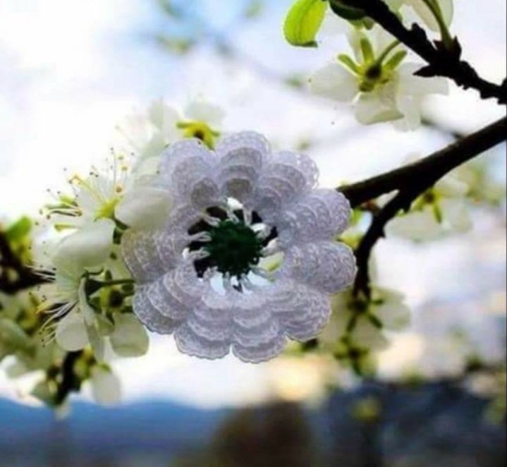 "Çocukları küçük kurşunlarla öldürdüler değil mi anne.." 
#Srebrenitsa