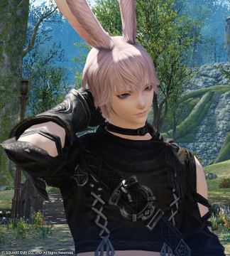 Ff14でヴィエラ のキャラクリが可能に うさ耳イケメン男子が多数誕生した模様 ゴールデンカムイまとめ