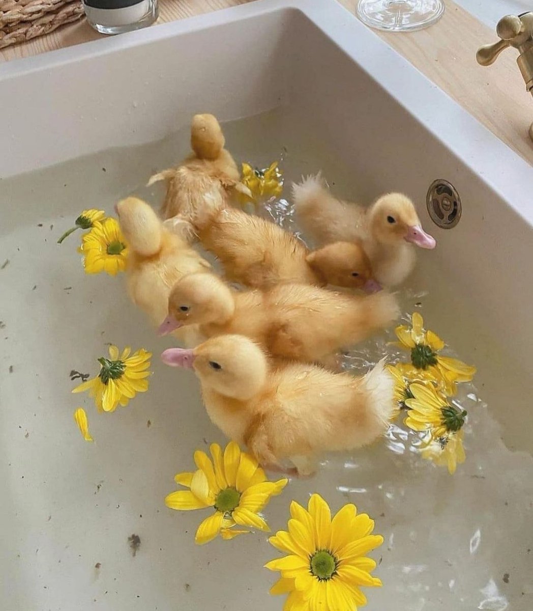 Ванна с уточками
