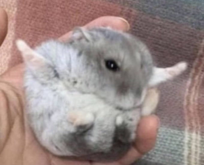 Watch elenita's leaked NSFW photo on TwXstars