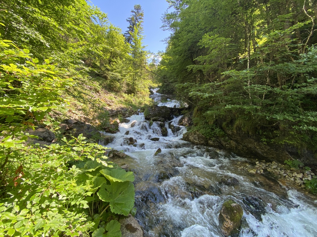 voetzi's tweet photo. Schöne zwei Tage mit den Kids im Kenzengebiet verbracht. Einfach herrlich! #Kenzenhütte #Halblech #Kesselrunde #Allgäu https://t.co/HMEzsfqeLC