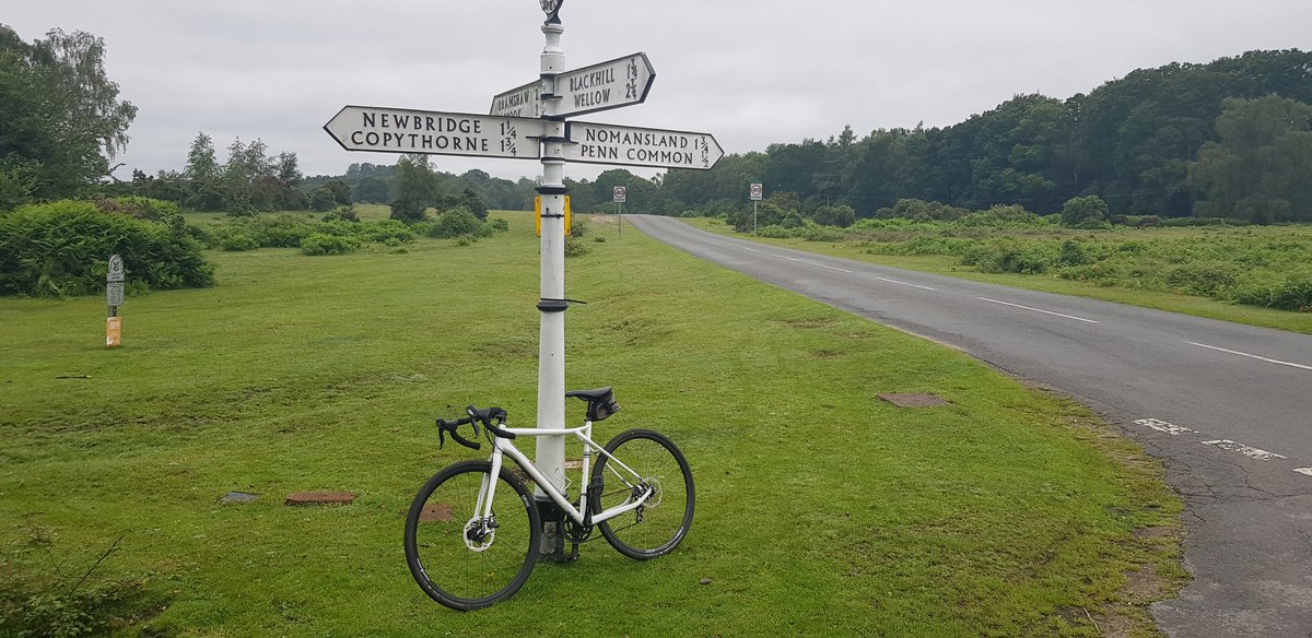 James Rogers tweet media