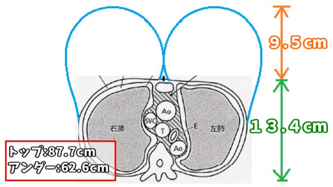 Tweets Listanazgul4 Dio El Hash ポケモン 1 Whotwi Grafica De Analisis De Twitter