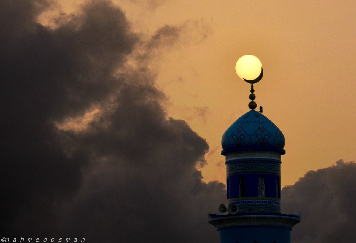 بدر الروقي📵 tweet media