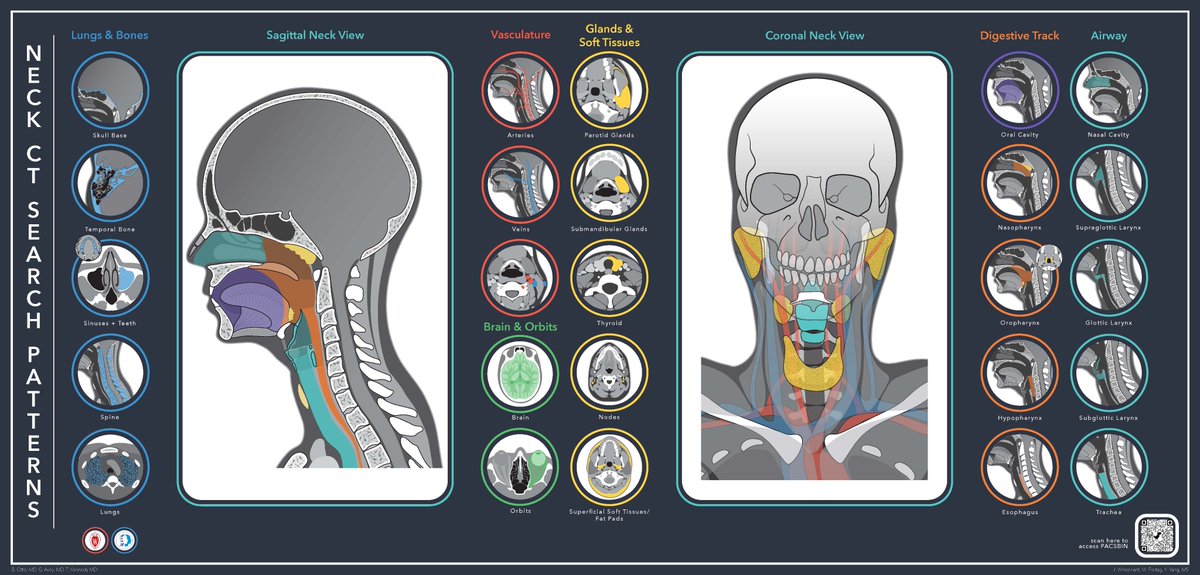 Learning head and neck anatomy is intimidating. Who knew there were that many structures traveling between the skull base and the chest? Here is a helpful infographic to help with your search pattern. Want to learn more? Attend #ASHNR21 Abstracts are due tomorrow. #FOAMrad