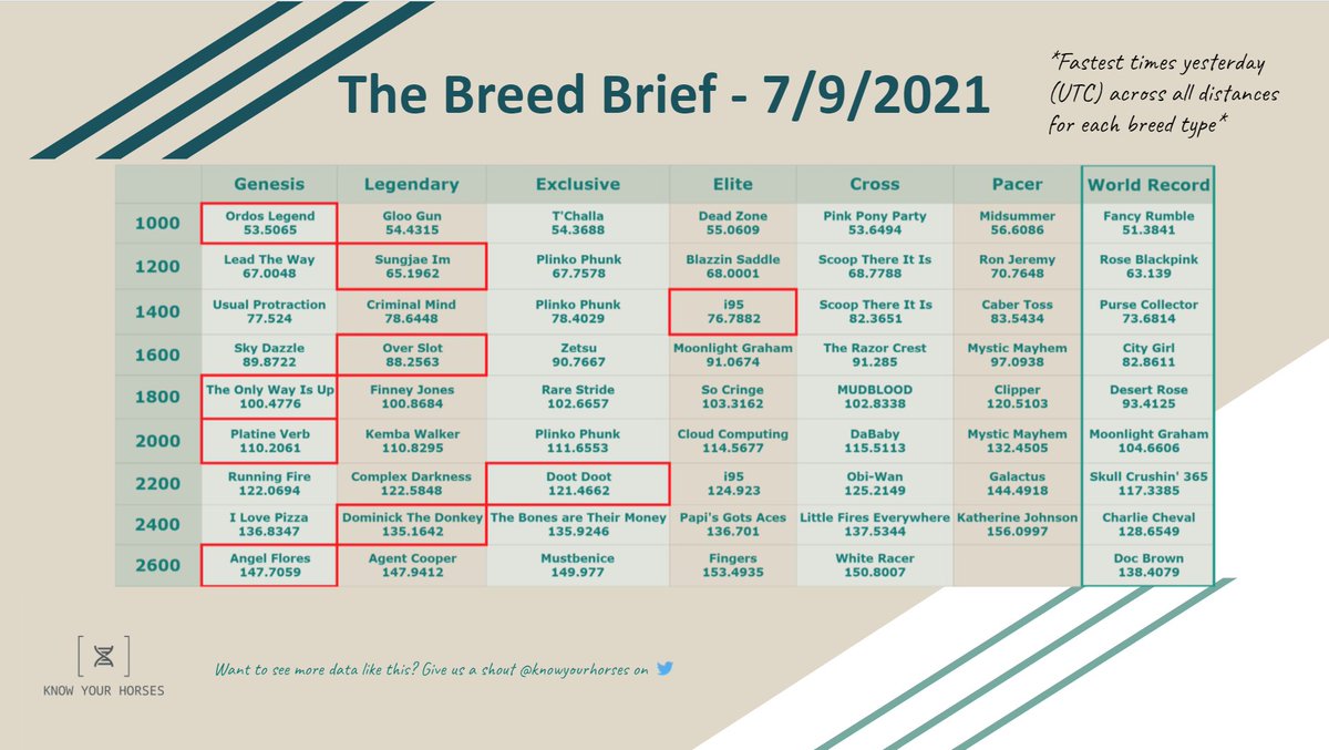 Know Your Horses tweet media