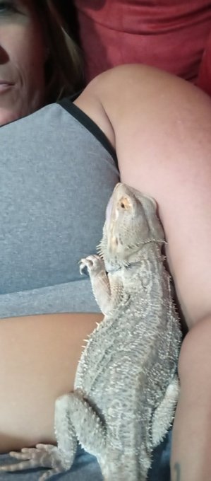 Look at the baby🤣🤣🤣 https://t.co/XQrsAHoFE8