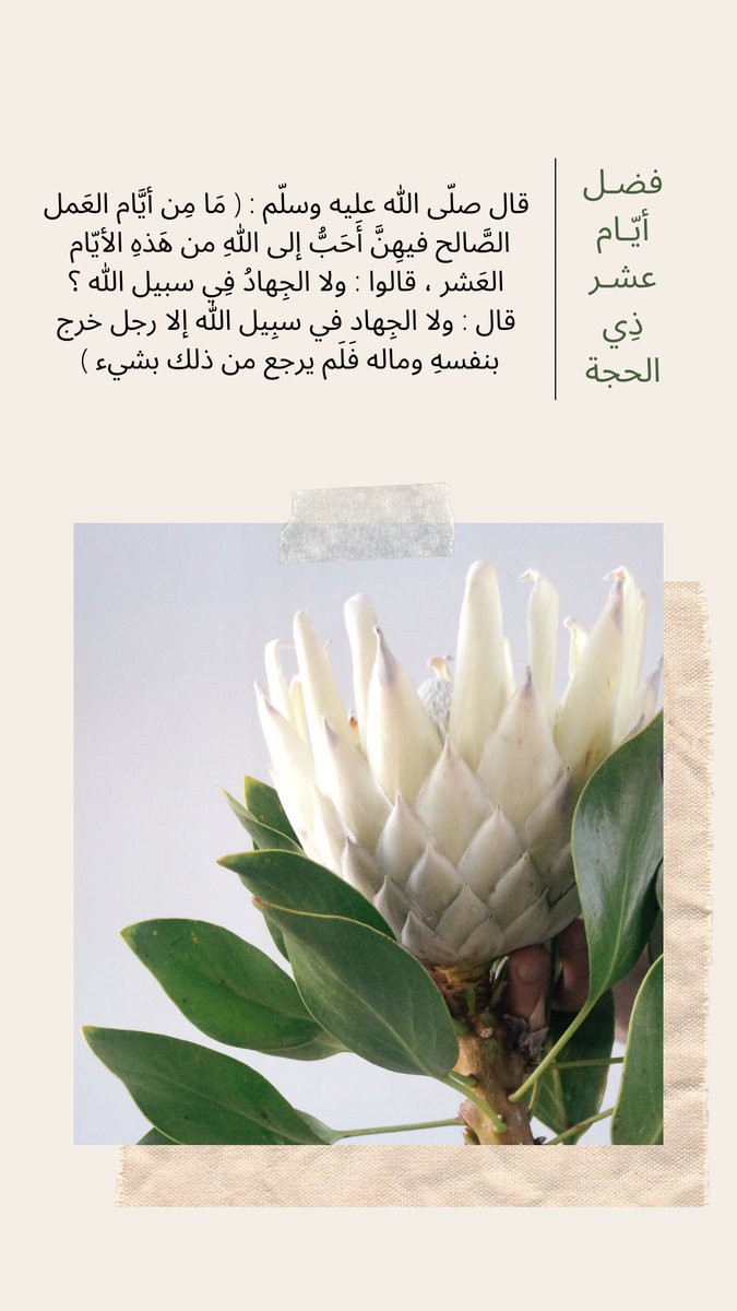 4Sks3's tweet photo. #عشر_ذي_الجحة ✨🤍 https://t.co/60Pwy49olb