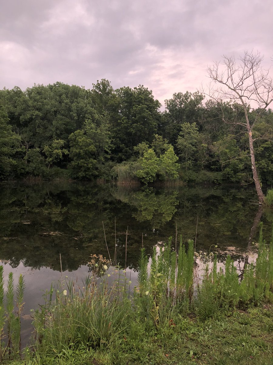 ilikechips14's tweet image. Some photos I took this evening