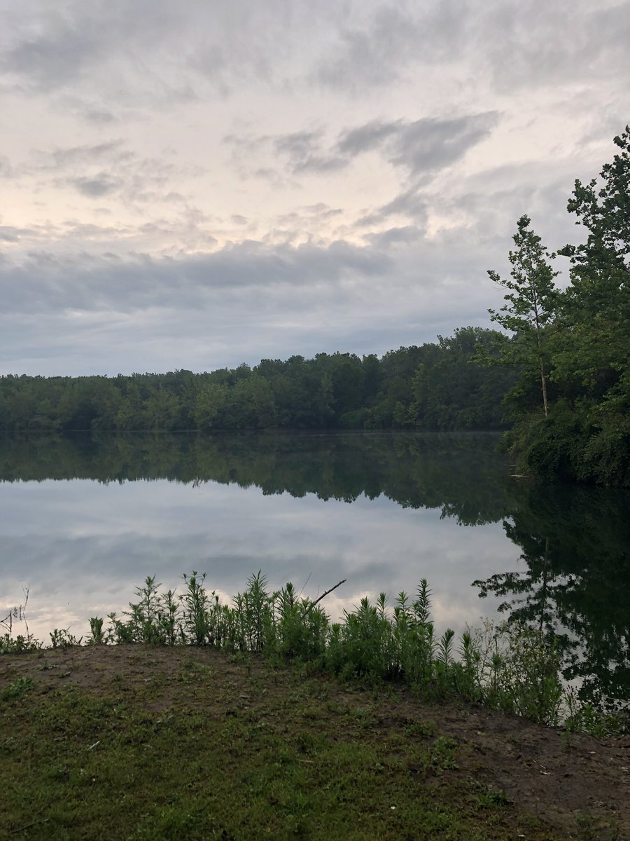 ilikechips14's tweet image. Some photos I took this evening