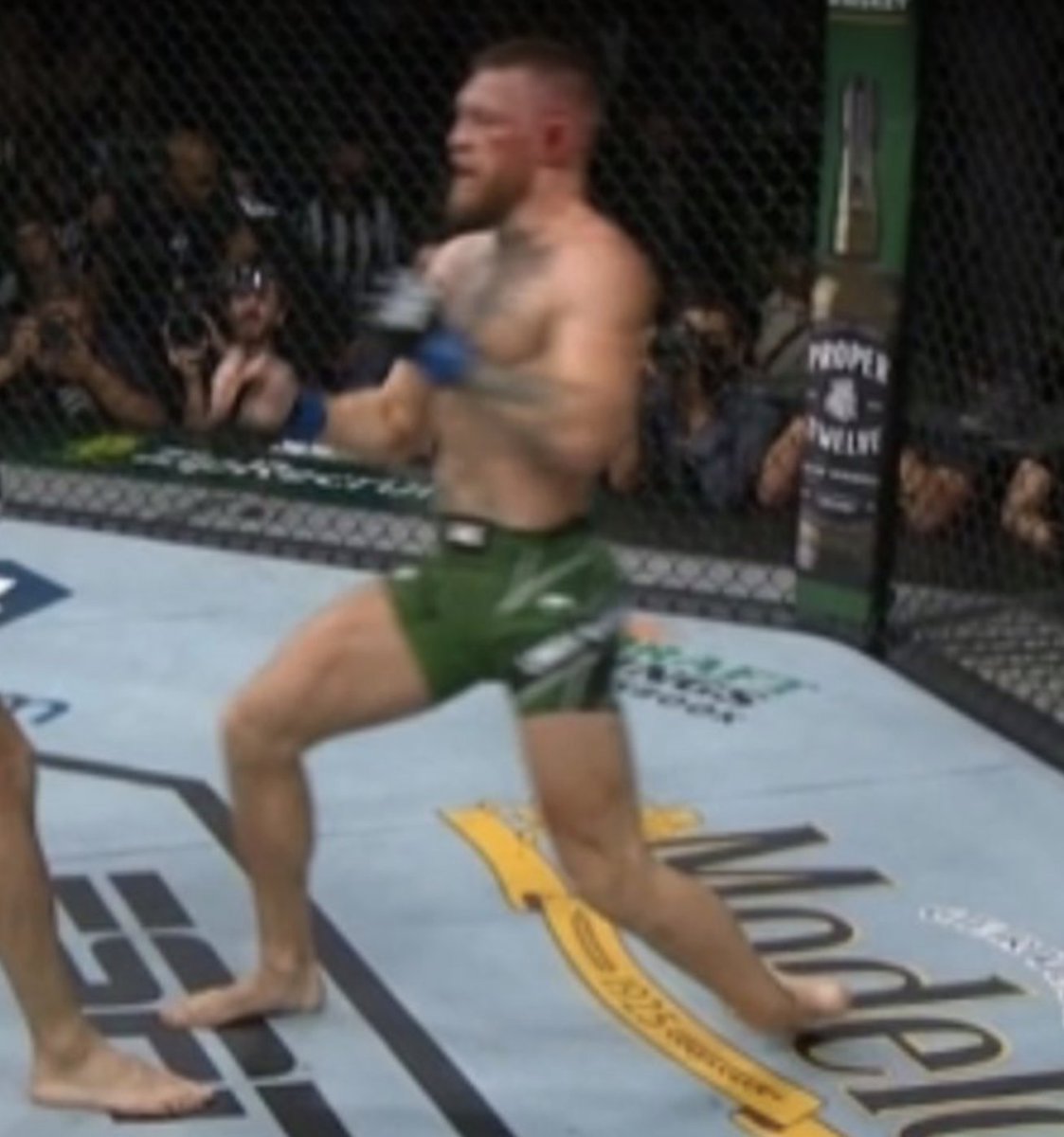 conor mcgregor toy sleepy