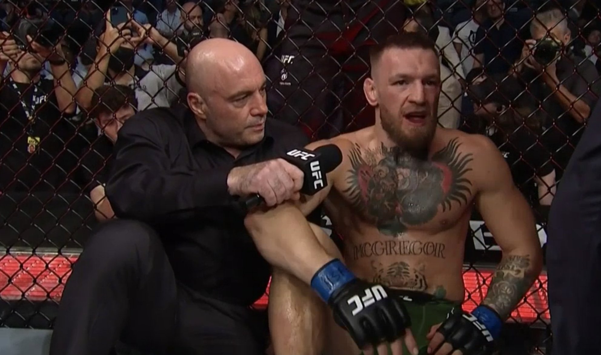 Dexerto On Twitter Conor Telling Joe Rogan In Quite Frankly The Weirdest Interview Setup We Ve Seen That Dustin S Wife Is In His Dm S And It S Not Over Ufc264 Https T Co Of8mpr9k4h