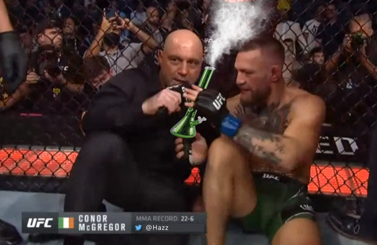 Hazz's tweet image. pass da bongo joe ive fooked me leg