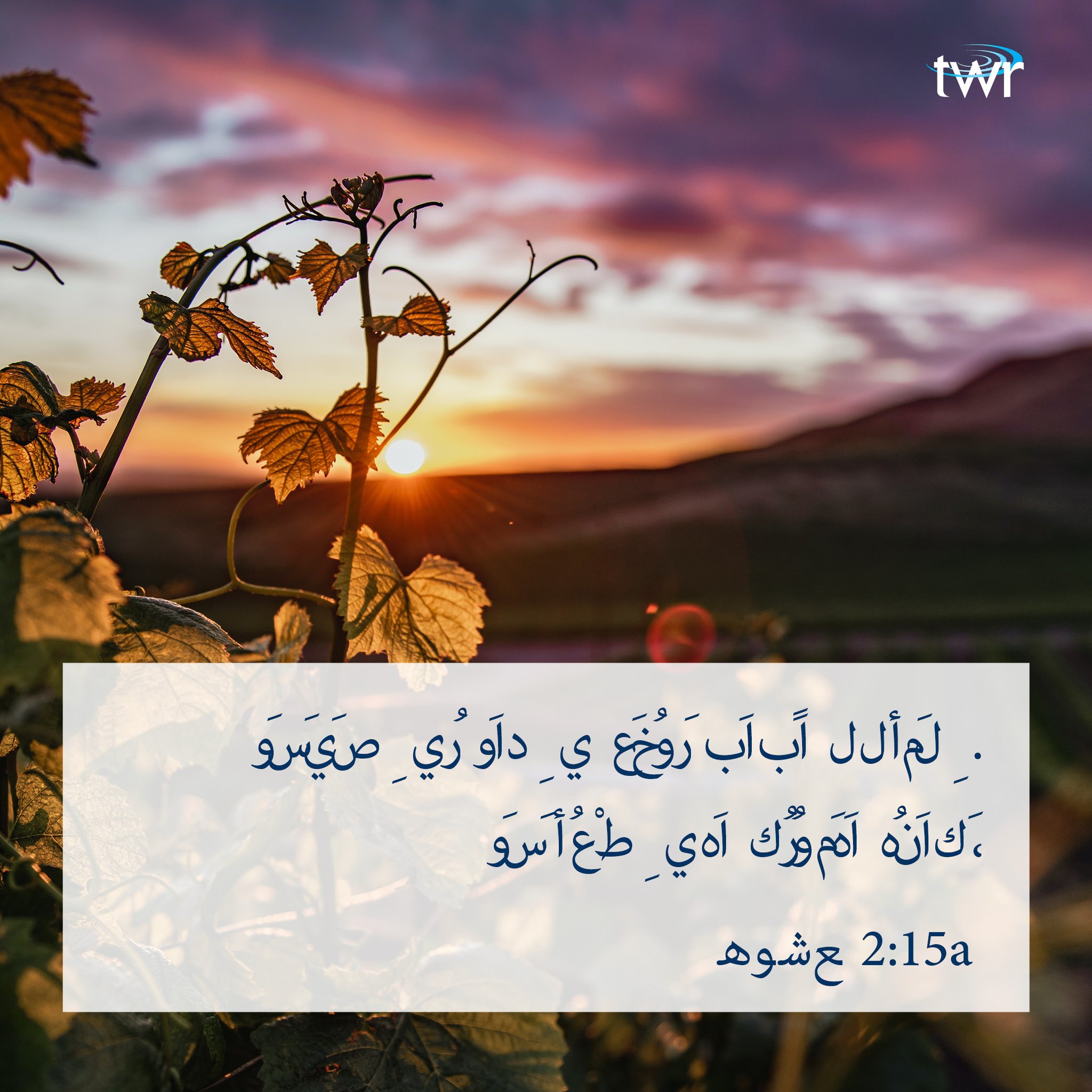 TWR Africa on Twitter "HEART LANGUAGE BIBLE VERSE Today’s verse is