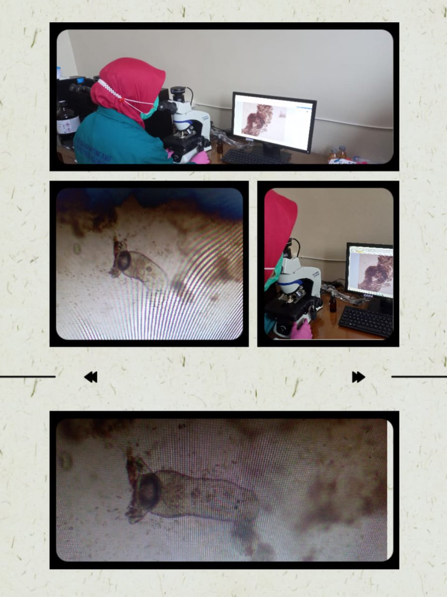 Badan Mutu KKP Pekanbaru tweet media