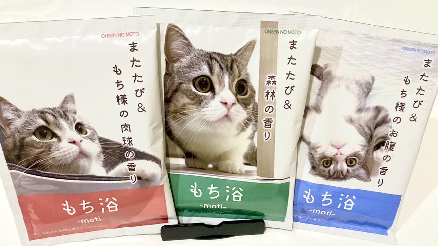 もちまる日記がかわいそうと噂に 炎上や嫌いなどの真相を調べてみた はいからレストラン