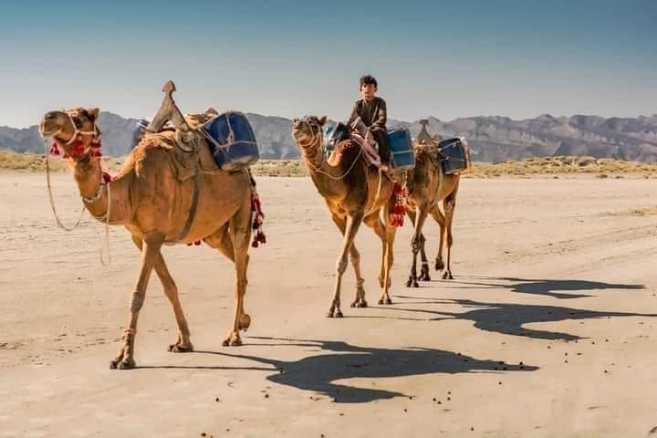 iAmir29's tweet photo. کُون ہَنستے ہوئے ہجرت پر ___ہوا ہے رَاضی؟ 

لَوگ آسانی سے گَھر چَھوڑ کر کب جاتےہیں
❤
#TeamPakAlpha https://t.co/KaE2TJDO12