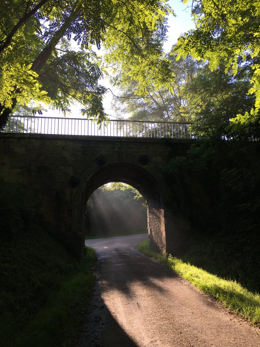 Bâtir des ponts plutôt que construire des murs pour un monde 🌎 fraternel et apaisé...
Bon dimanche !☀️