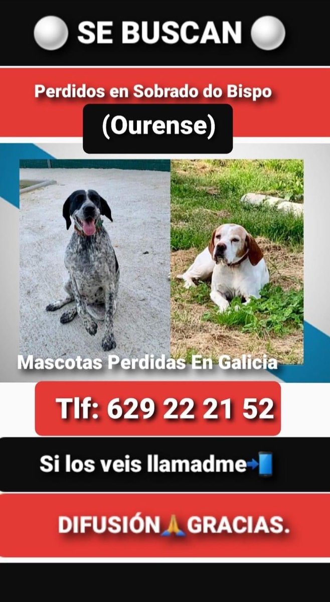 jmmorgade's tweet photo. Si los ves avísame https://t.co/me7033kx4m