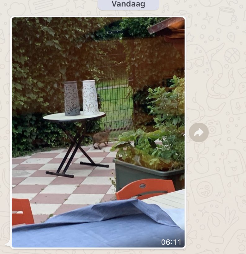 Wanneer de puber vroeg opstaat.