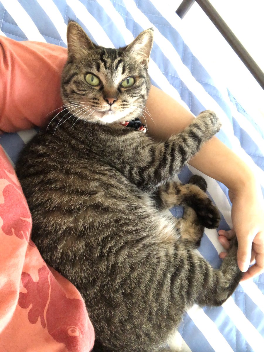 わたし可愛いから働かなくていいの わたし可愛いから働かなくていいの