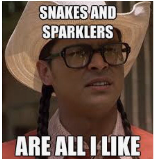 Put away your whistlin' buzzers,
spleen splitters,whisker biscuits, hoosker doos, hoosker don'ts, nipsy daisers with or without the scooter stick. Dont make us get the hose. You know those fire guys are fast asleep after rescuing those kittens youve chased up the trees all day 🇺🇸