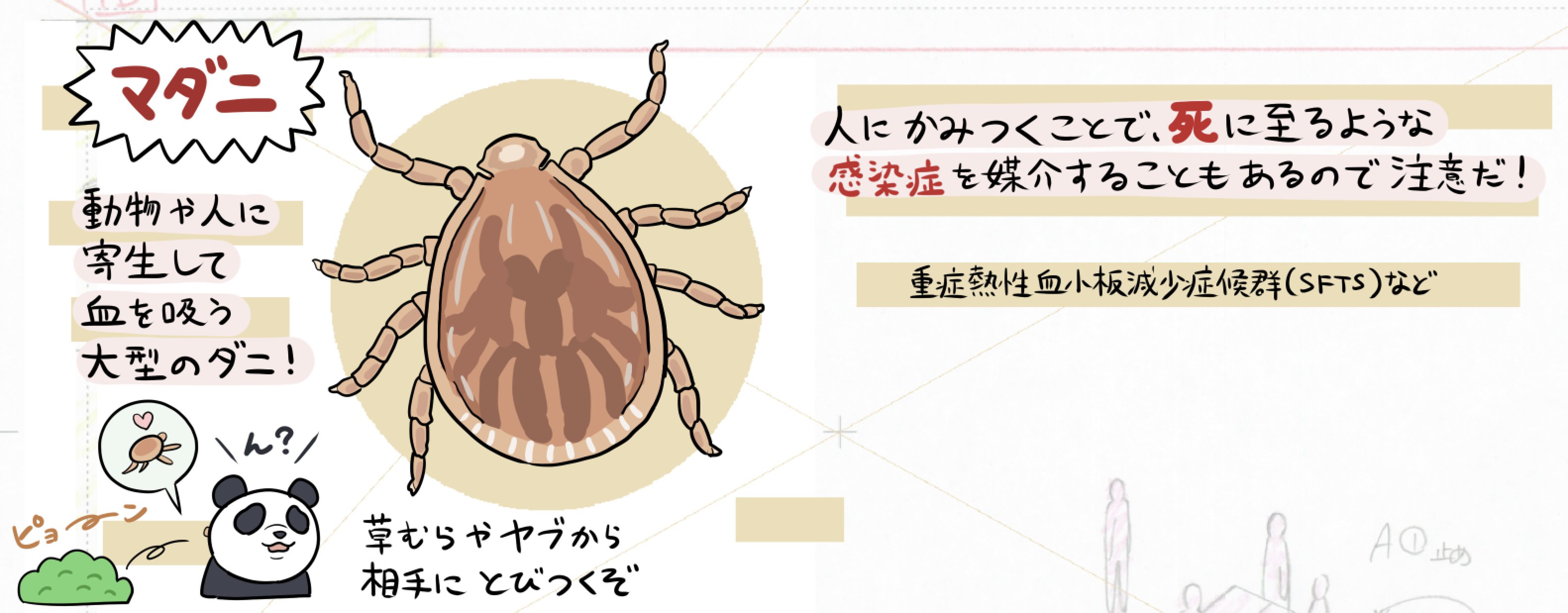 Twitter 上的 ぬまがさワタリ ゆかいないきもの超図鑑 ３ ８発売 マダニが媒介する感染症 重症熱性血小板減少症候群 Sfts が関東で初確認された T Co Vezuigphyq 致死率が6 30 と高く 有効な治療薬もない危険な感染症であり 全国で不穏な広がり