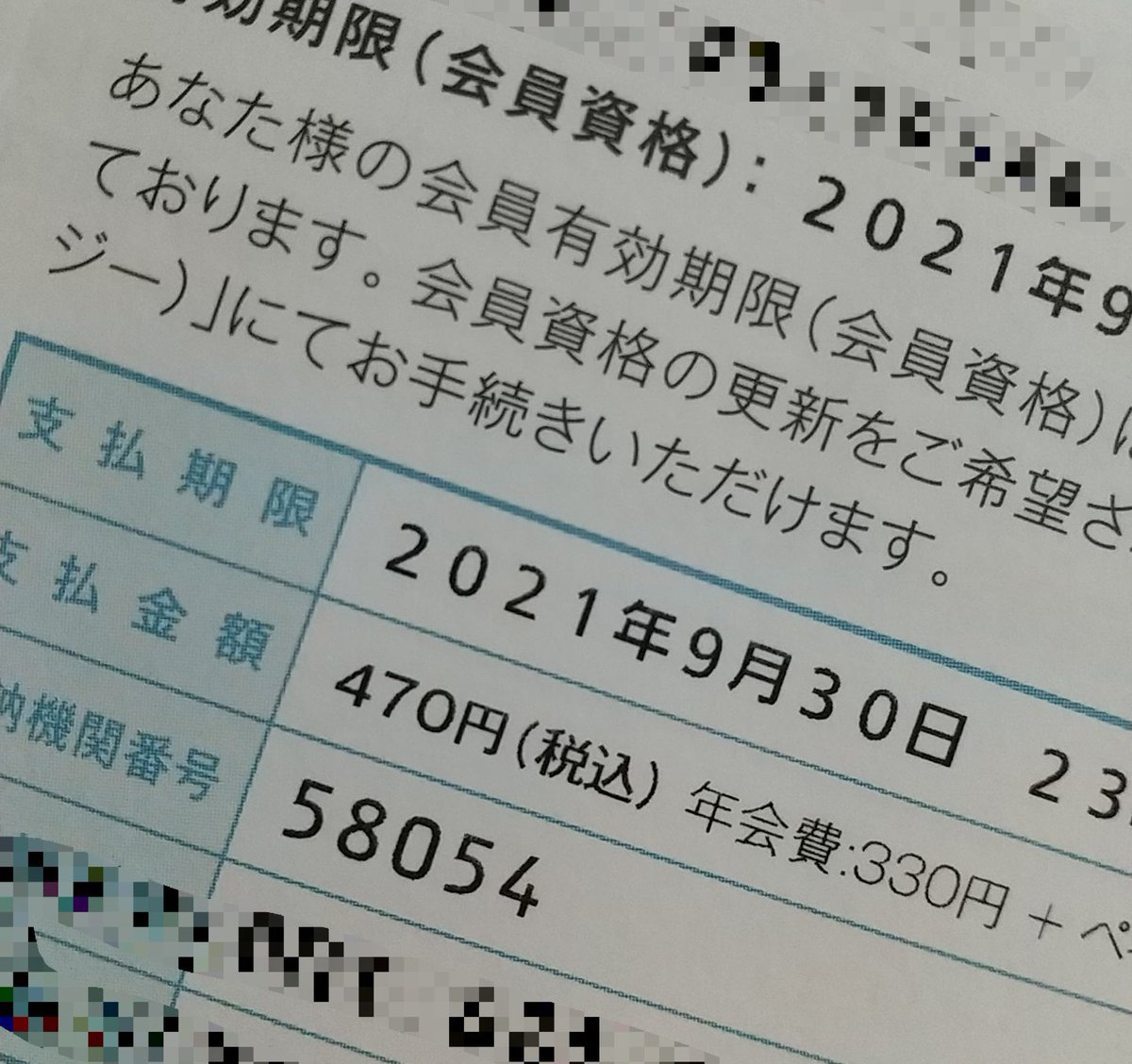 こいでみえこ Kidmek Twitter こいでみえこ Kidmek Twitter