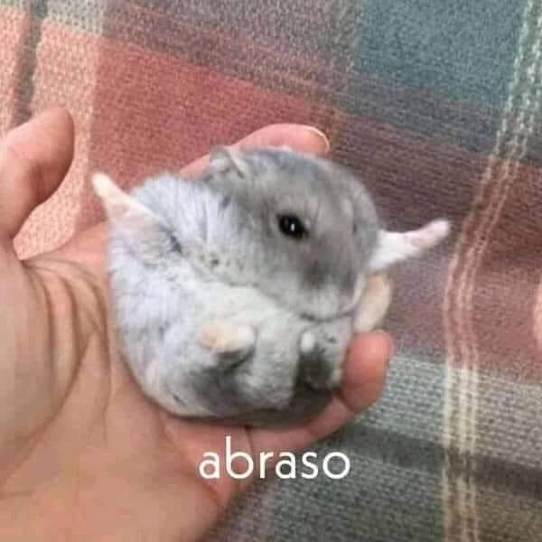 memes para you guys tweet media