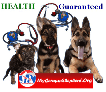 mygsdorg's tweet photo. The best #health_insurance doesn't cost a penny. The best #health insurance is PRICELESS => https://t.co/yMn09hebFv https://t.co/esizALq1ca
