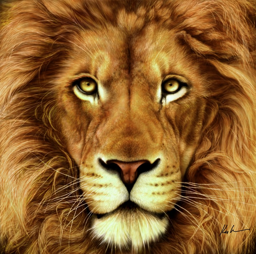 harrazharan's tweet photo. إكسبانسيل كريم هو كريم يهدف إلى تحسين الدورة الدموية في المناطق الحميمة وتضخيم القضيب
يمكنك طلبه الان 

https://t.co/BvIVKlk2Mb

الامارات
Modi
#انجلترا_اوكرانيا
#حق_فتاه_حسكه
#خذ_الخطوه_خذ_اللقاح
#حياه_المراه_الشيعيه
#نصف_جمال_الانسان
التطعيم الاجباري
يابو عايد
#خالد_غير_مذنب https://t.co/dfbGM3xg5B