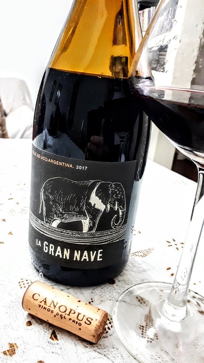 Gabi Kara 🇦🇲 tweet media