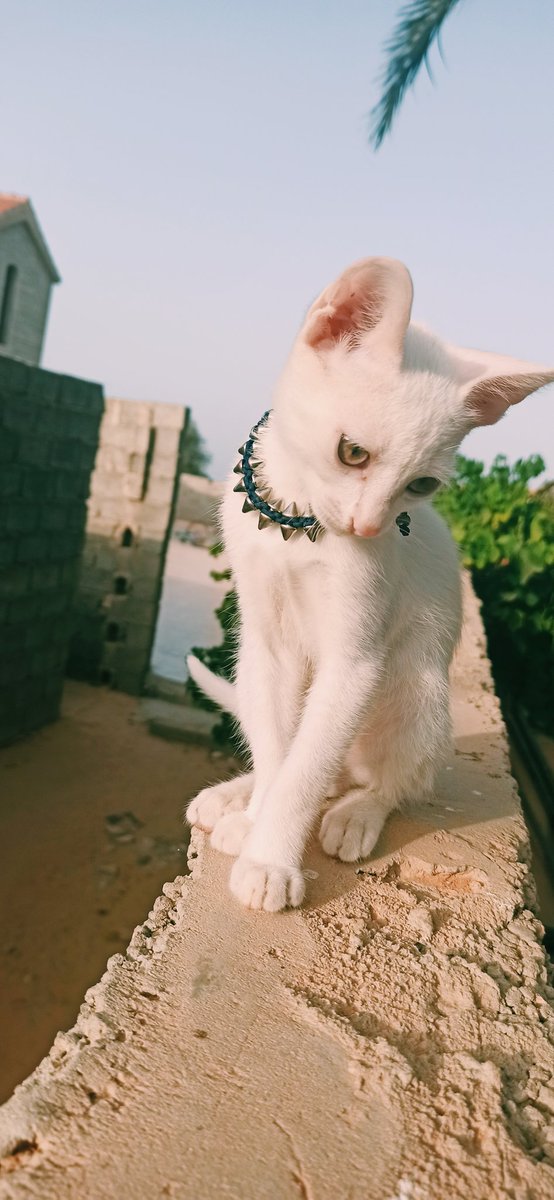 AAYAOOOO's tweet photo. اتقي شر المتغافل إذا ملّ من تغافله .
#3aBeTHa https://t.co/CitedcIk4j