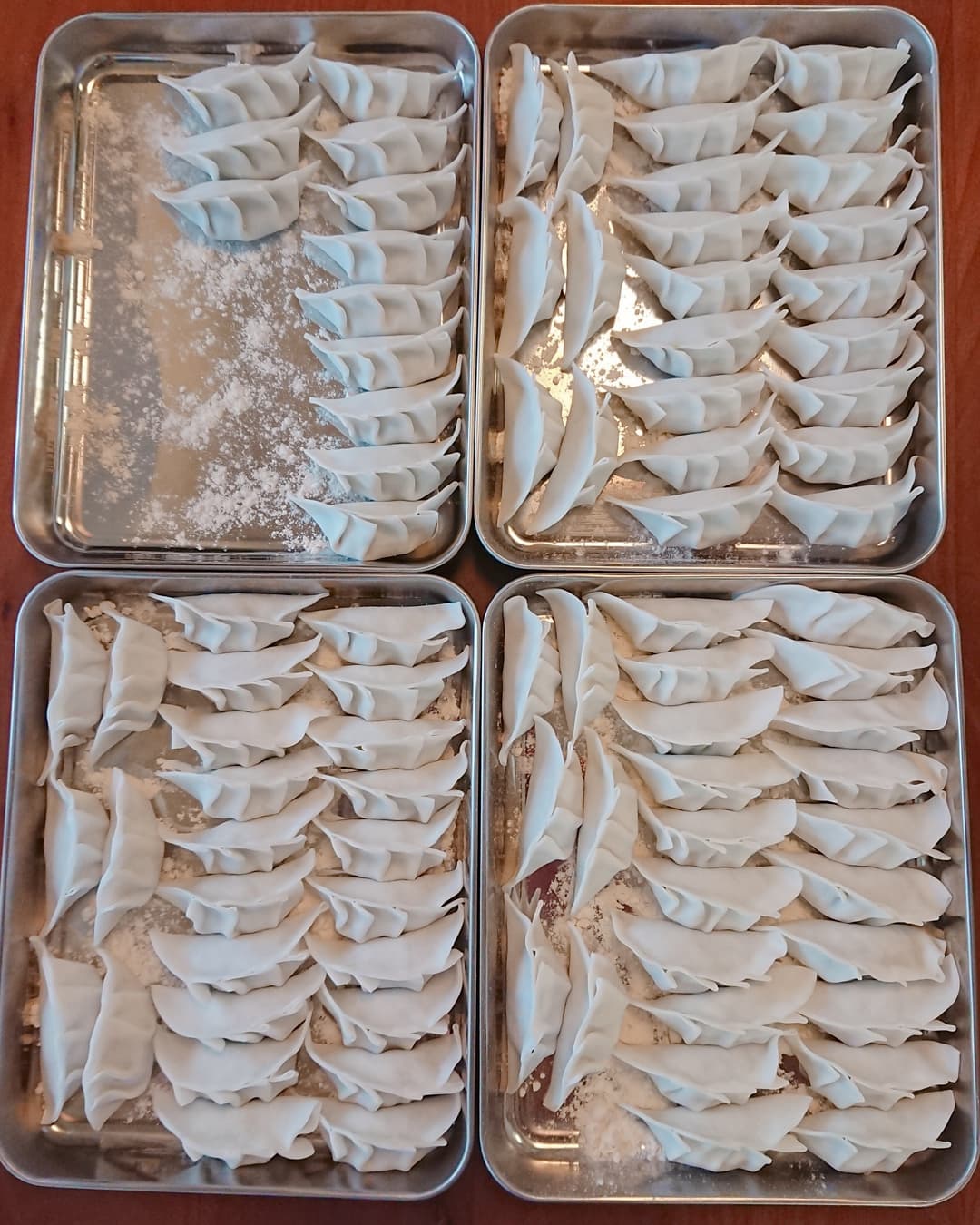 あゆ 昨日の晩ごはんは ホットプレートで餃子 井辻食産のお米の皮を 初めて使ってみたけど もっちもちカリッで めっちゃ美味しかった 晩ごはん 晩ごはん記録 餃子 ぎょうざ Gyoza 井辻食産 お米の皮 井辻食産餃子の皮 ホットプレート